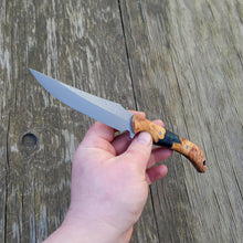 Clip Point Handmade Bushcraft, Hunting, EDC Knife in 80CRV2 with Maple Burl and Resin Scales - AVAILABLE - No Lead Time
