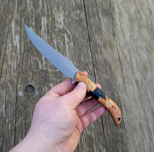 Clip Point Handmade Bushcraft, Hunting, EDC Knife in 80CRV2 with Maple Burl and Resin Scales - AVAILABLE - No Lead Time