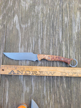 Handmade Big Belly Bushcraft, Hunting, EDC Knife in 80CRV2 with Mallee Burl Scales - AVAILABLE - No Lead Time