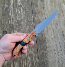 Clip Point Handmade Bushcraft, Hunting, EDC Knife in 80CRV2 with Maple Burl and Resin Scales - AVAILABLE - No Lead Time