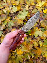 Handmade Knife in 15n20/80CRV2 Damascus with Desert Ironwood Handle, Antique Wroght Iron Guard