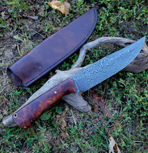 AVAILABLE - Handmade Damascus Knife with Ironwood Burl Handle and Leather Sheath